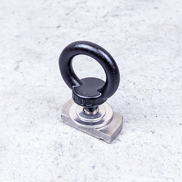 m8 stainless steel eye bolt - Pioneer 6 platform - single